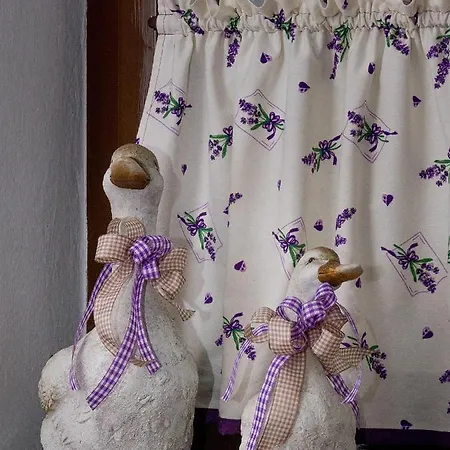 Gazdovsky Konukevi 3*