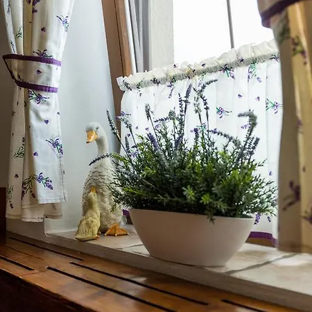 Gazdovsky Konukevi 3*