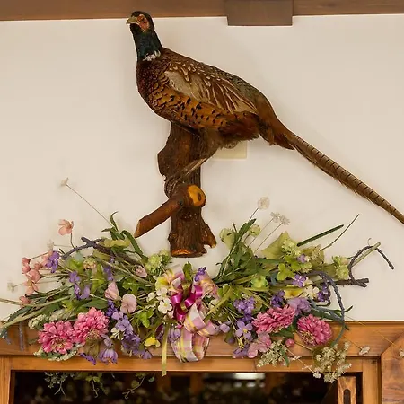 Gazdovsky Topoľčianky