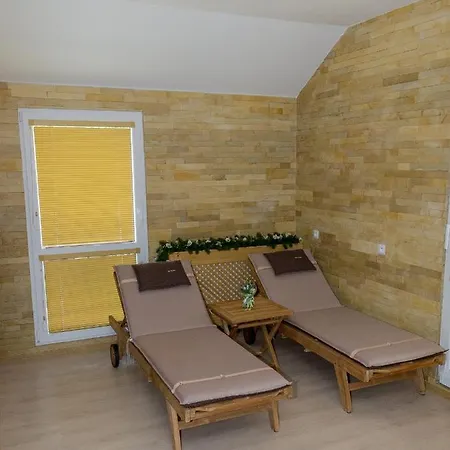Gazdovsky Guest house Topolcianky