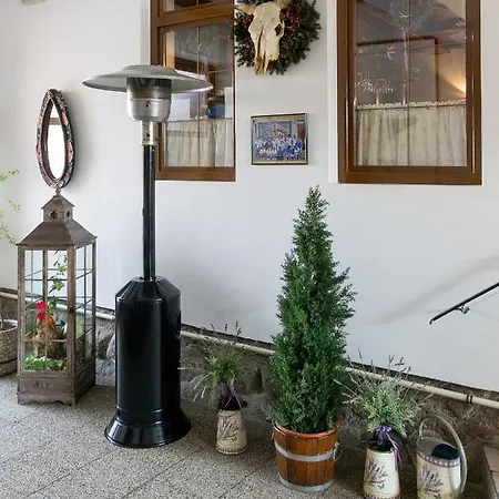 Guest house Gazdovsky 3*